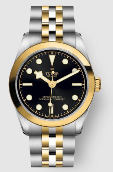 Tudor BLACK BAY 31 S&G M79603-0001 Replica Watch